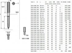 WALRAVEN BIS kombinovaný šroub M8x100mm, ocel, 6263810